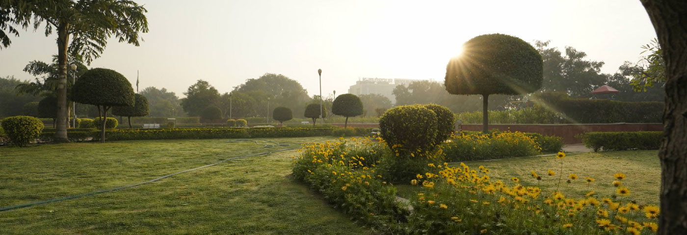 Adoption of Parks Policy 2019