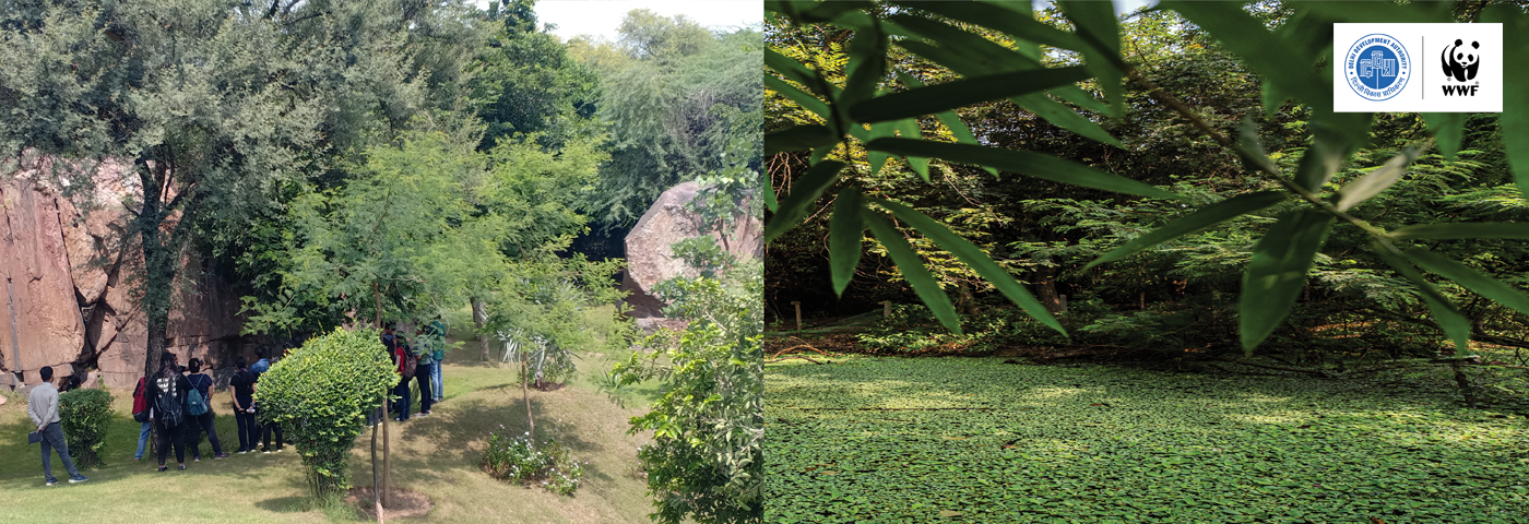 Sanjay Van Activities Calendar