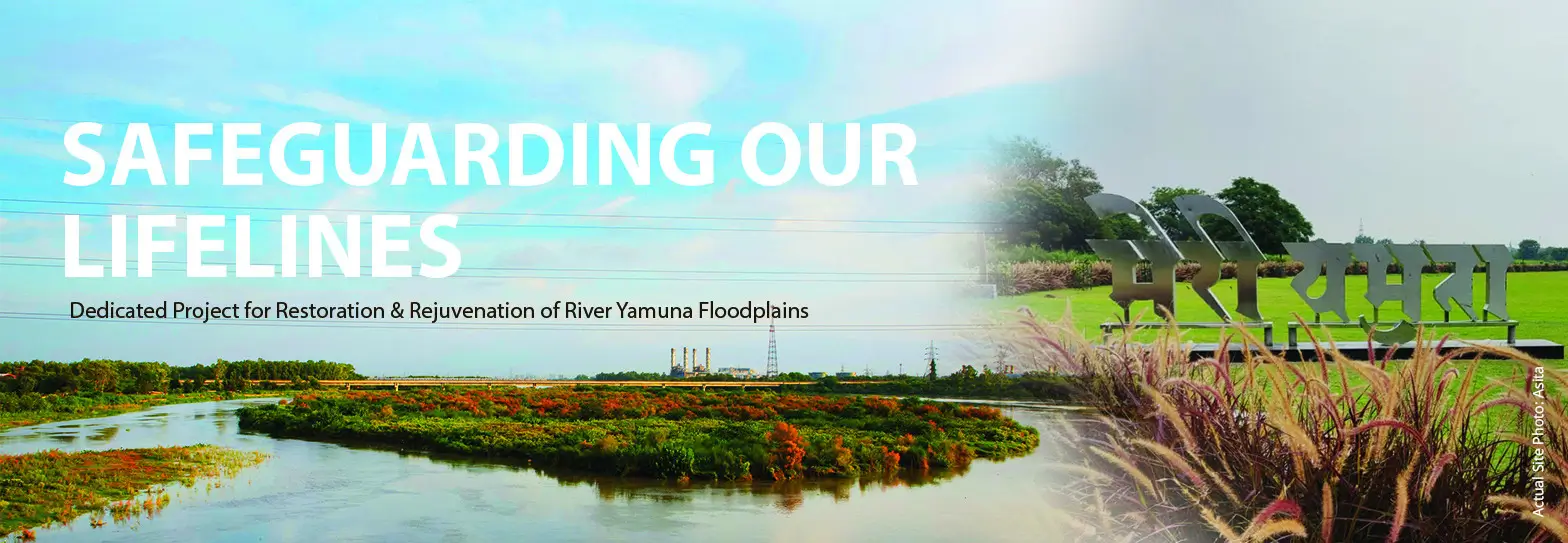 Safeguarding our lifelines