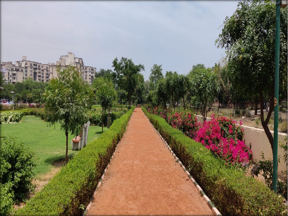 Bougainvillea Garden