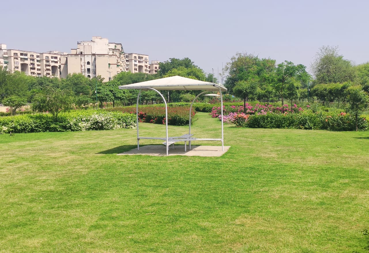 Bougainvillea Garden