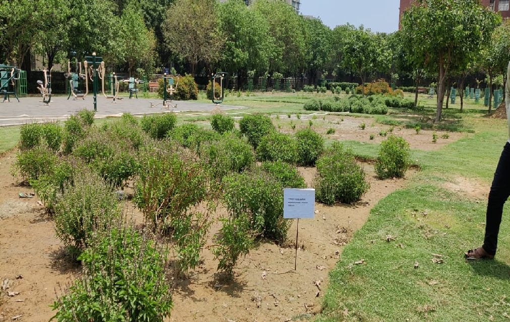 Herbal Garden