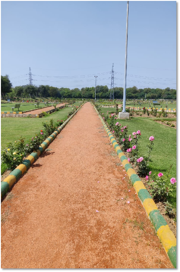 Rose Garden