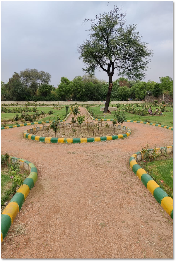 Rose Garden