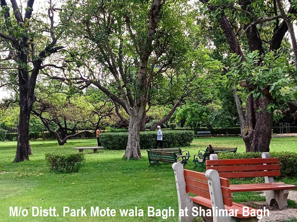 Mote Wala bagh, Shalimar Bagh