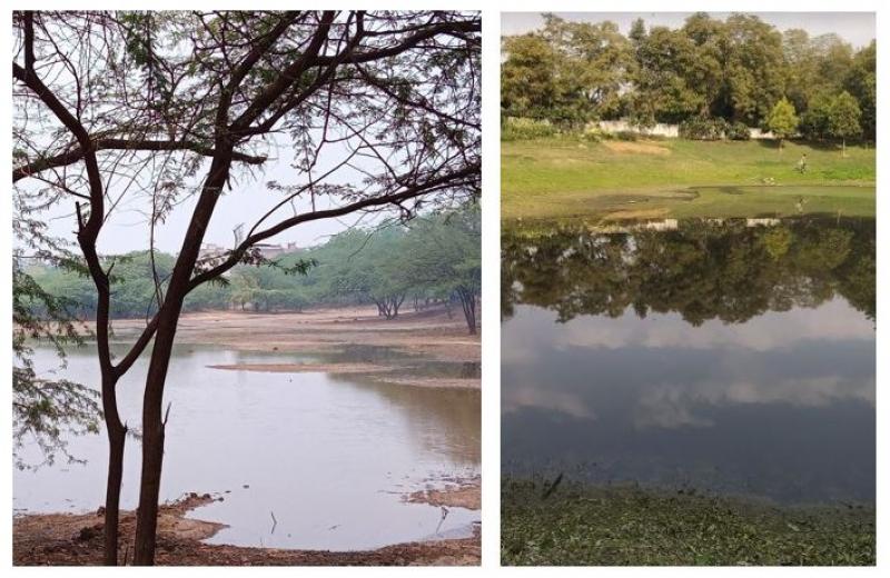 हरिनगर में जी-8 लेक पार्क और वसंत कुंज में वसंत वाटिका