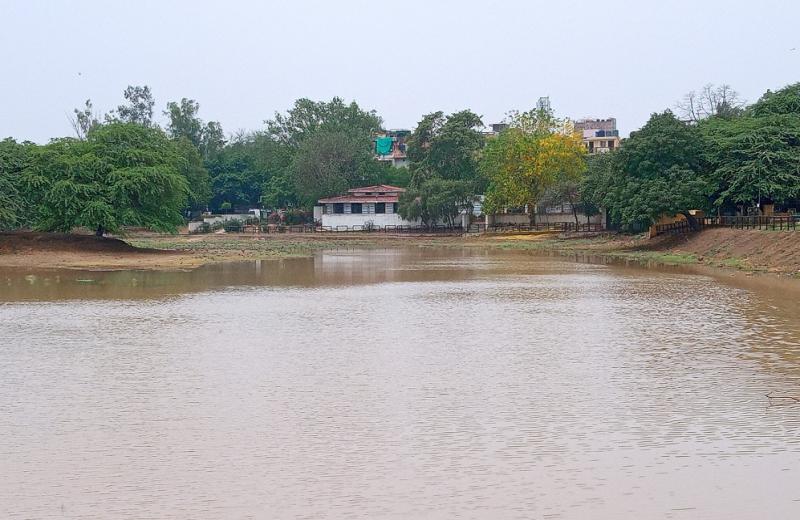 हरिनगर में जी-8 लेक पार्क