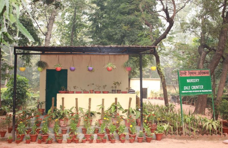 Nursery at B Block PaschimPuri