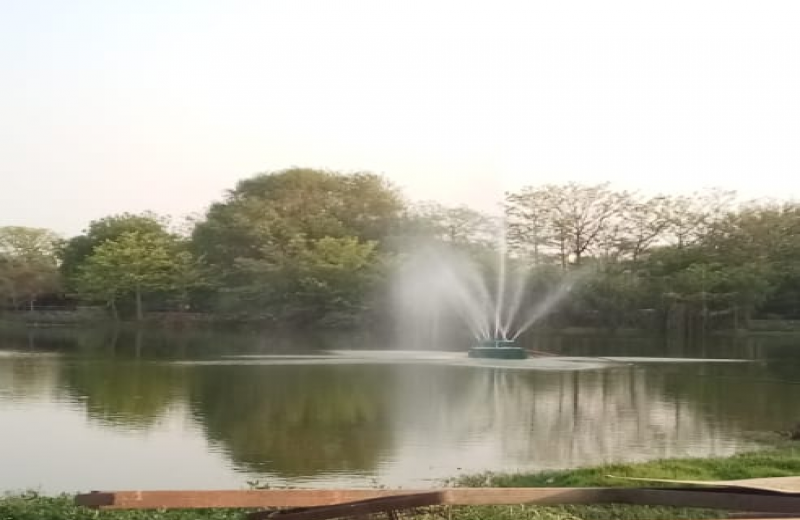 स्मृति वन वसंत कुंज